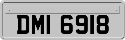 DMI6918