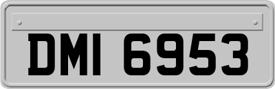 DMI6953