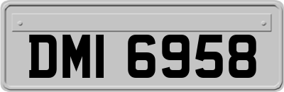 DMI6958