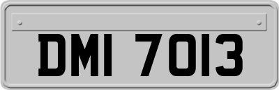 DMI7013