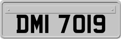 DMI7019