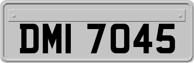 DMI7045