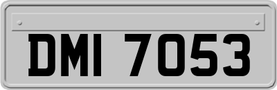 DMI7053