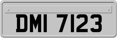 DMI7123