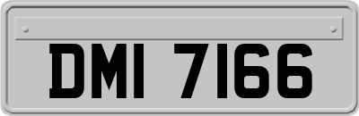 DMI7166