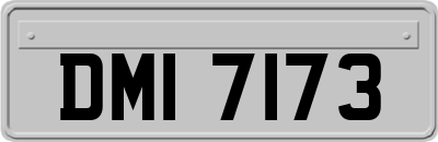 DMI7173