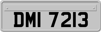 DMI7213