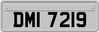 DMI7219