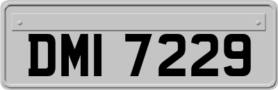 DMI7229