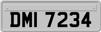 DMI7234