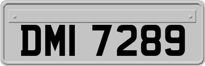 DMI7289