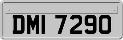 DMI7290