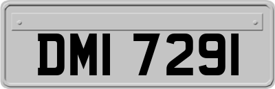 DMI7291