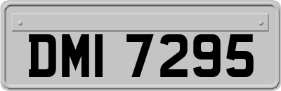 DMI7295
