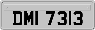 DMI7313