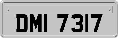 DMI7317