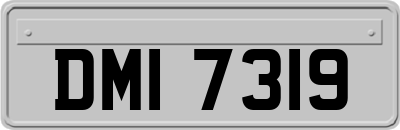 DMI7319