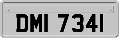 DMI7341