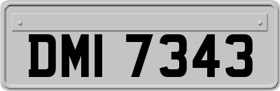DMI7343
