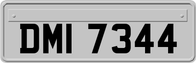 DMI7344