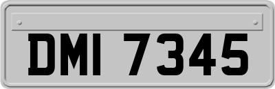 DMI7345