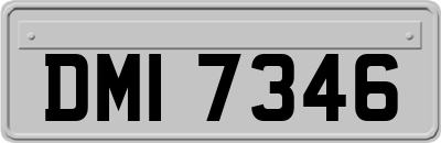 DMI7346