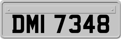 DMI7348