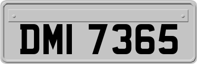 DMI7365