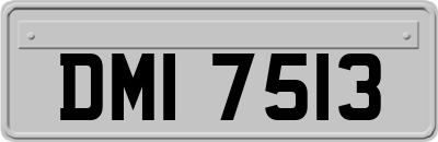 DMI7513