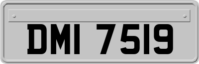 DMI7519