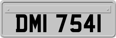 DMI7541