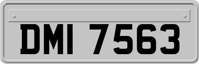 DMI7563