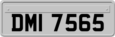 DMI7565