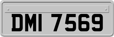 DMI7569