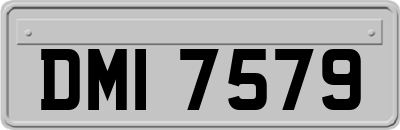 DMI7579