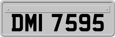 DMI7595