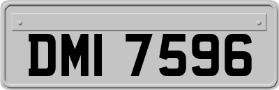 DMI7596