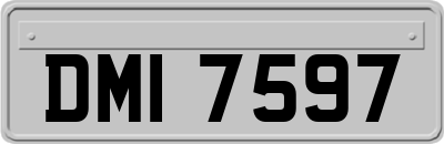DMI7597