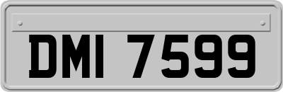 DMI7599