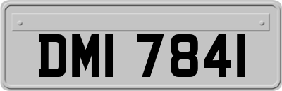 DMI7841