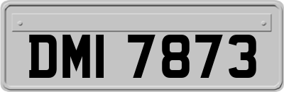 DMI7873