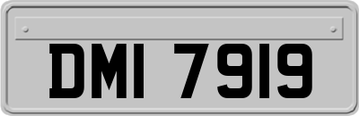 DMI7919
