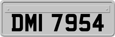 DMI7954