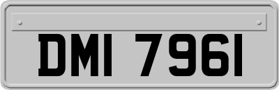 DMI7961