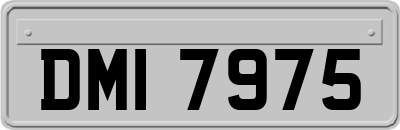 DMI7975