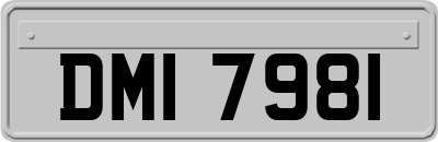 DMI7981