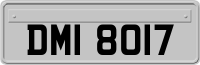 DMI8017