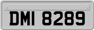 DMI8289
