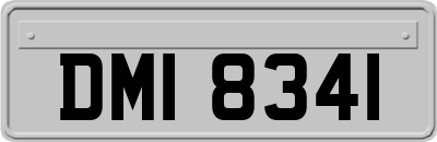 DMI8341