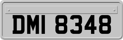 DMI8348
